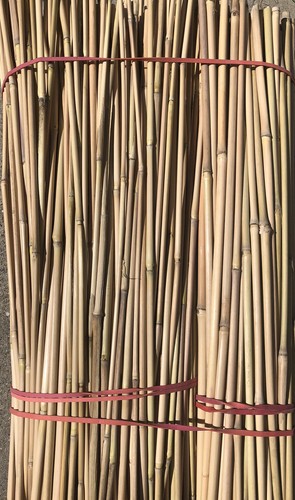 Bambus stäbe bambu rohr - bambus,