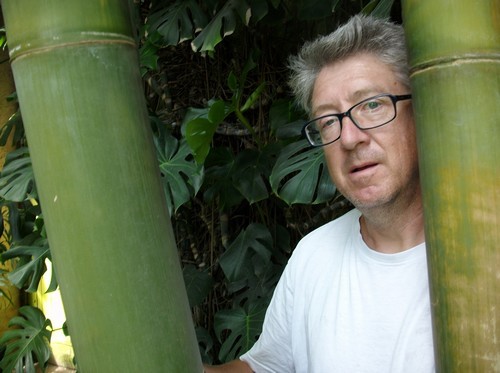 Samen exotisch saatgut - exotisch,
